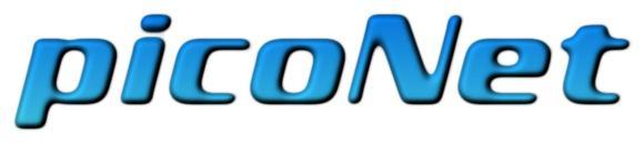 piconet logo